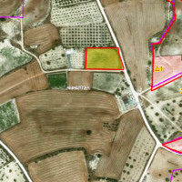 3006 m2 agricultural land in Anafotia, Larnaca District
