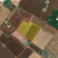 2 fields for sale in Avgorou