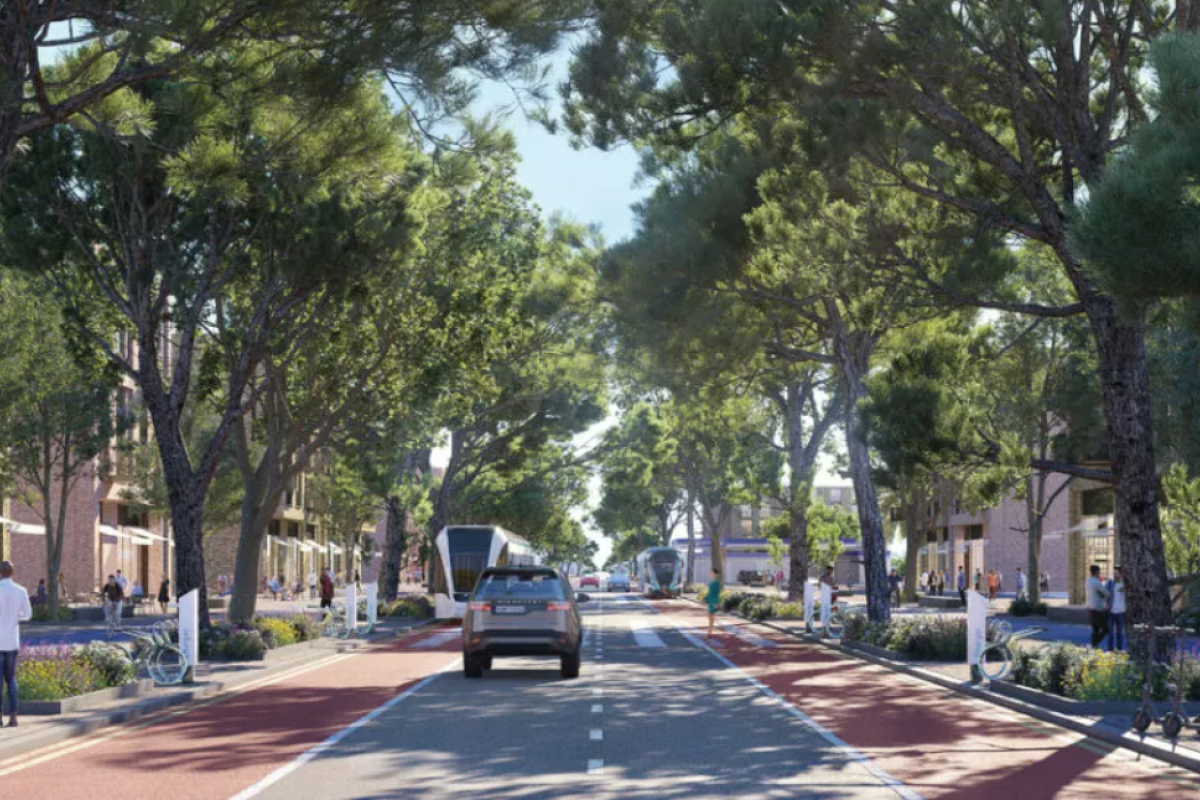 Green Enhancement Plan for Larnaca: Thousands of Trees and Shrubs to Be Planted by the Municipality