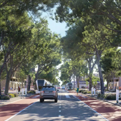 Green Enhancement Plan for Larnaca: Thousands of Trees and Shrubs to Be Planted by the Municipality